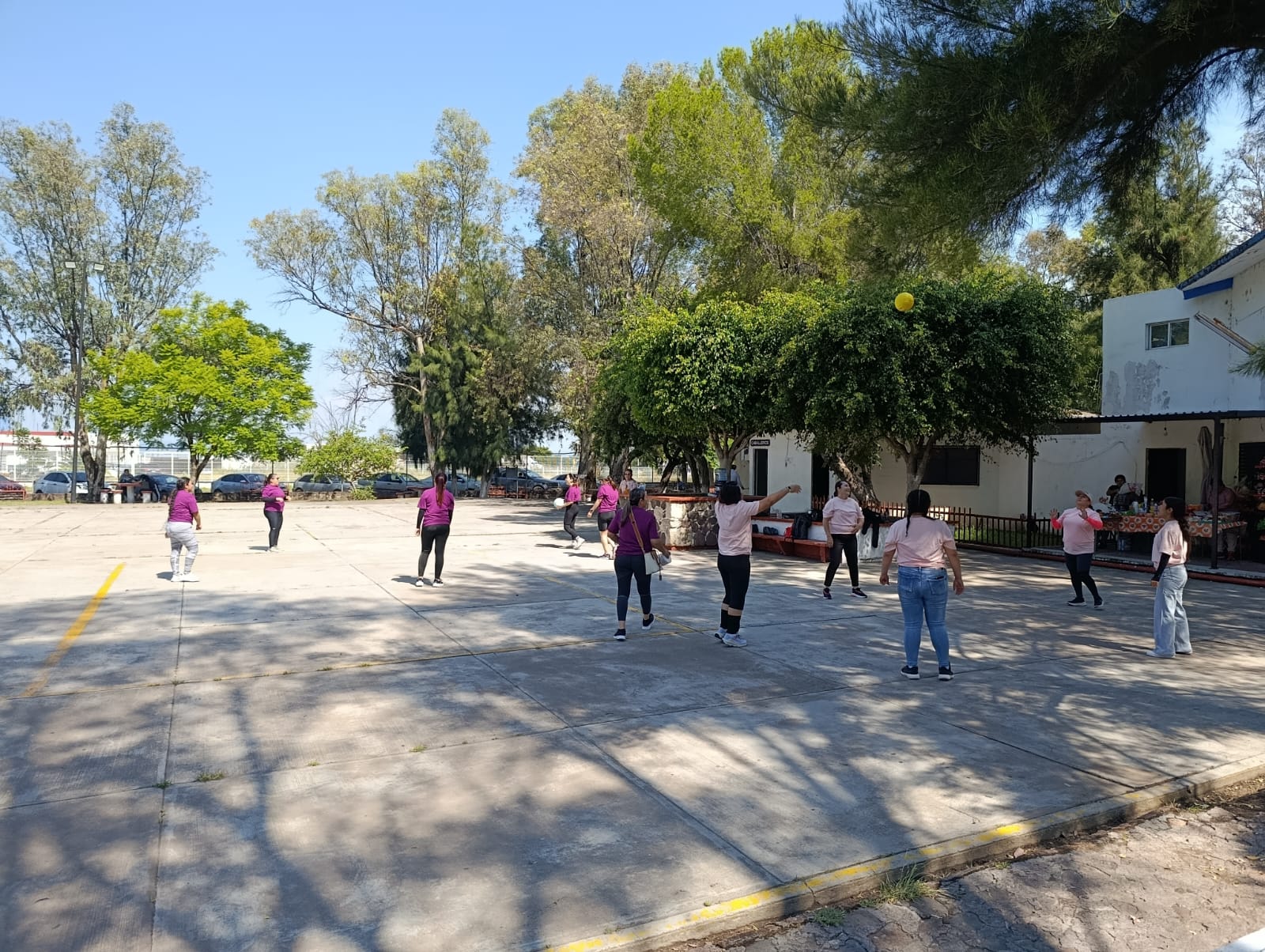 ¡En 𝐖𝐚𝐥𝐭 𝐌é𝐱𝐢𝐜𝐨 vivimos el deporte con toda la actitud!⚽🏐 - Archivo 3