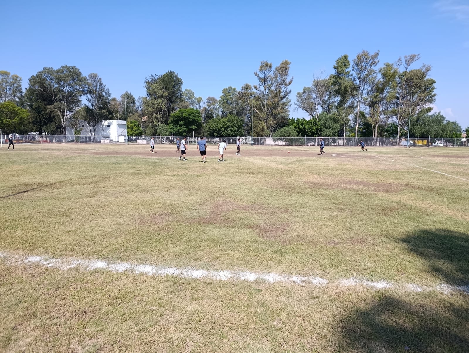 ¡En 𝐖𝐚𝐥𝐭 𝐌é𝐱𝐢𝐜𝐨 vivimos el deporte con toda la actitud!⚽🏐 - Archivo 4